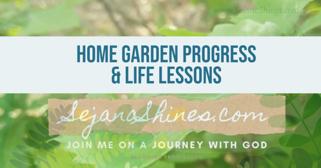 Home garden progress and life lessons